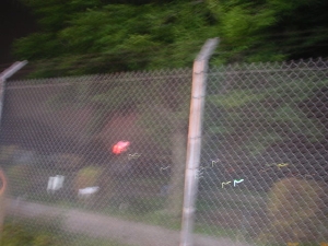 pd070527.JPG